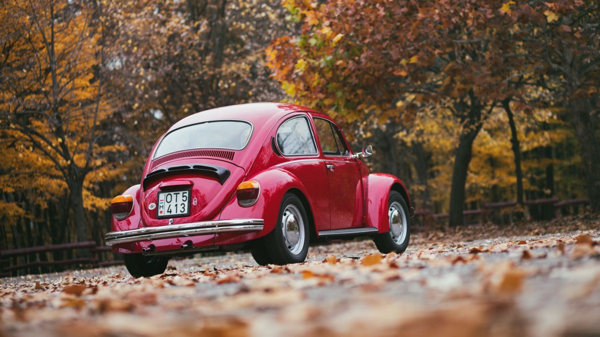 Volkswagen Beetle 1967 stance