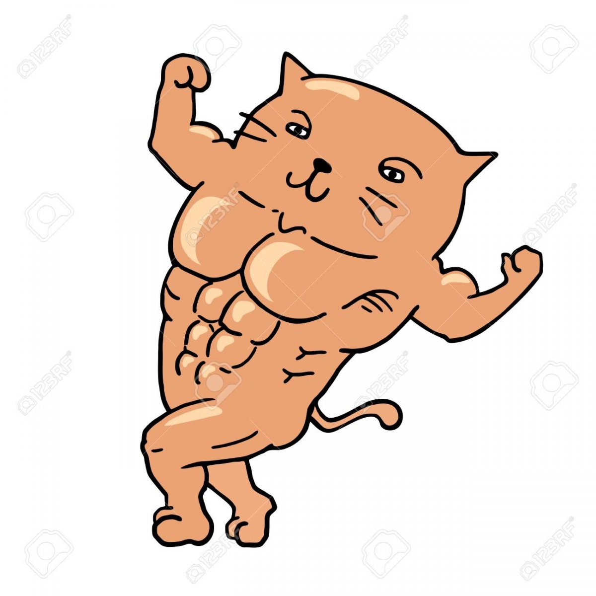 Котик с мускулами