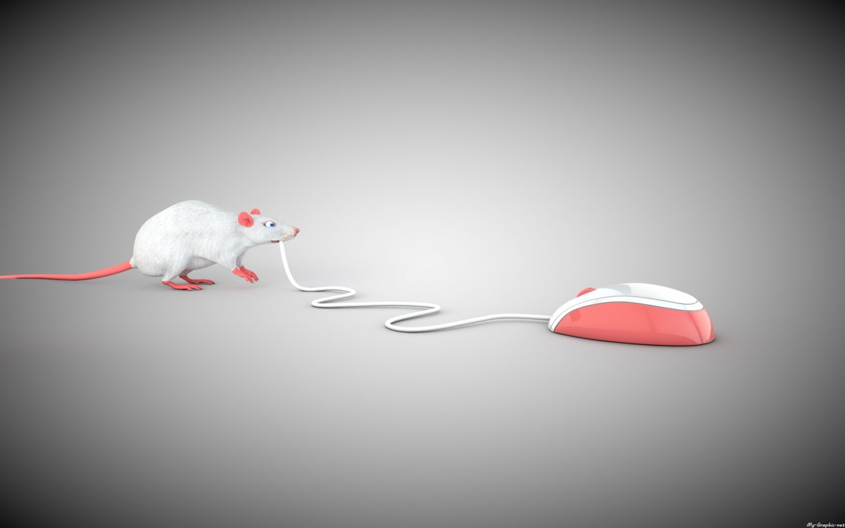 Компьютерная мышь с мышью