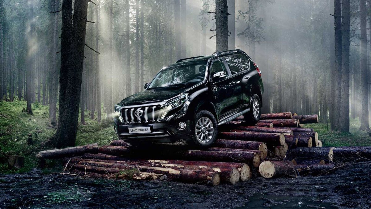 Toyota Land Cruiser in Forest