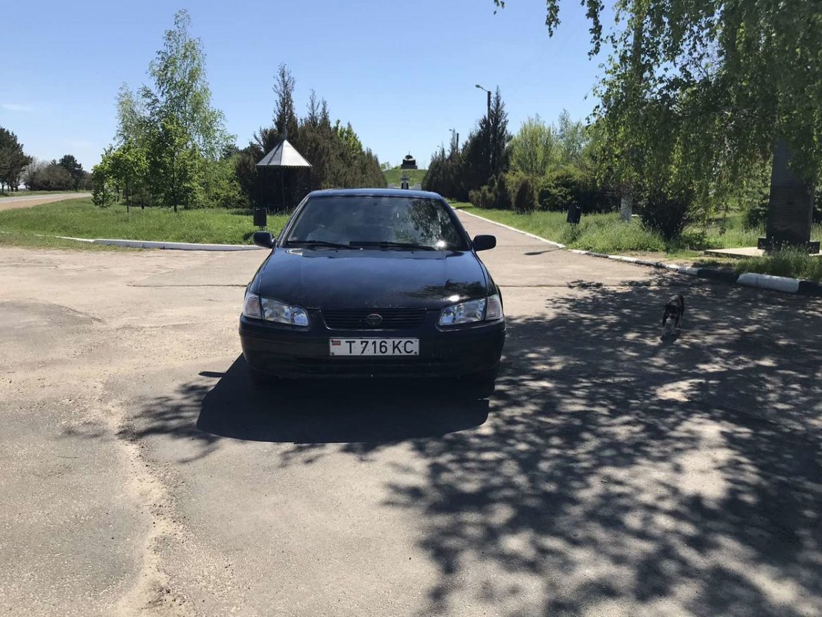 Автобарахолка ПМР