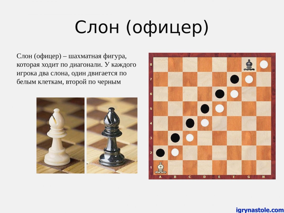 Чесс Ньюс ру шахматы