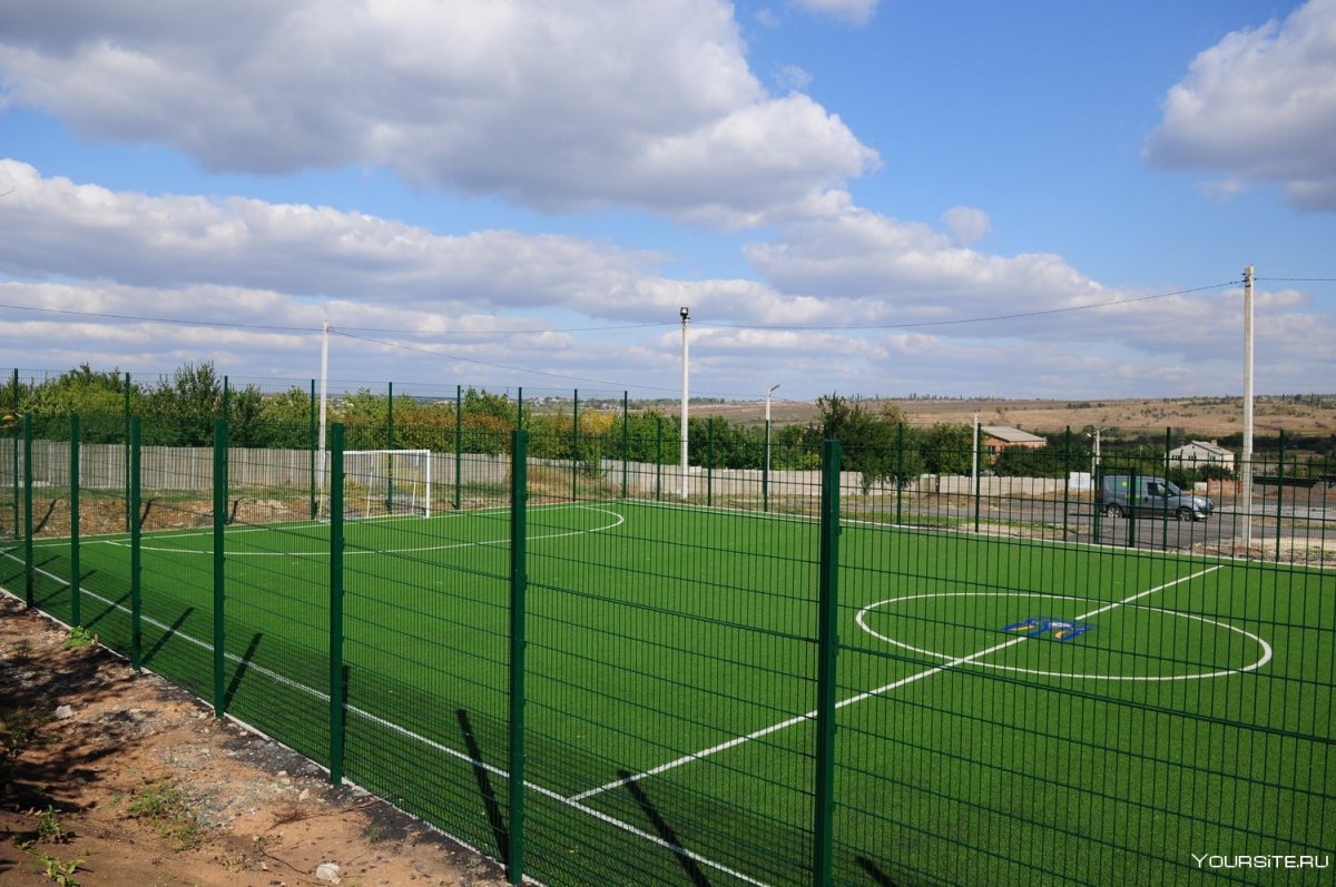 Зеленый забор для спортивной площадки