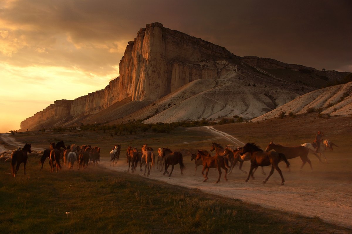 Белая скала Крым перегон лошадей