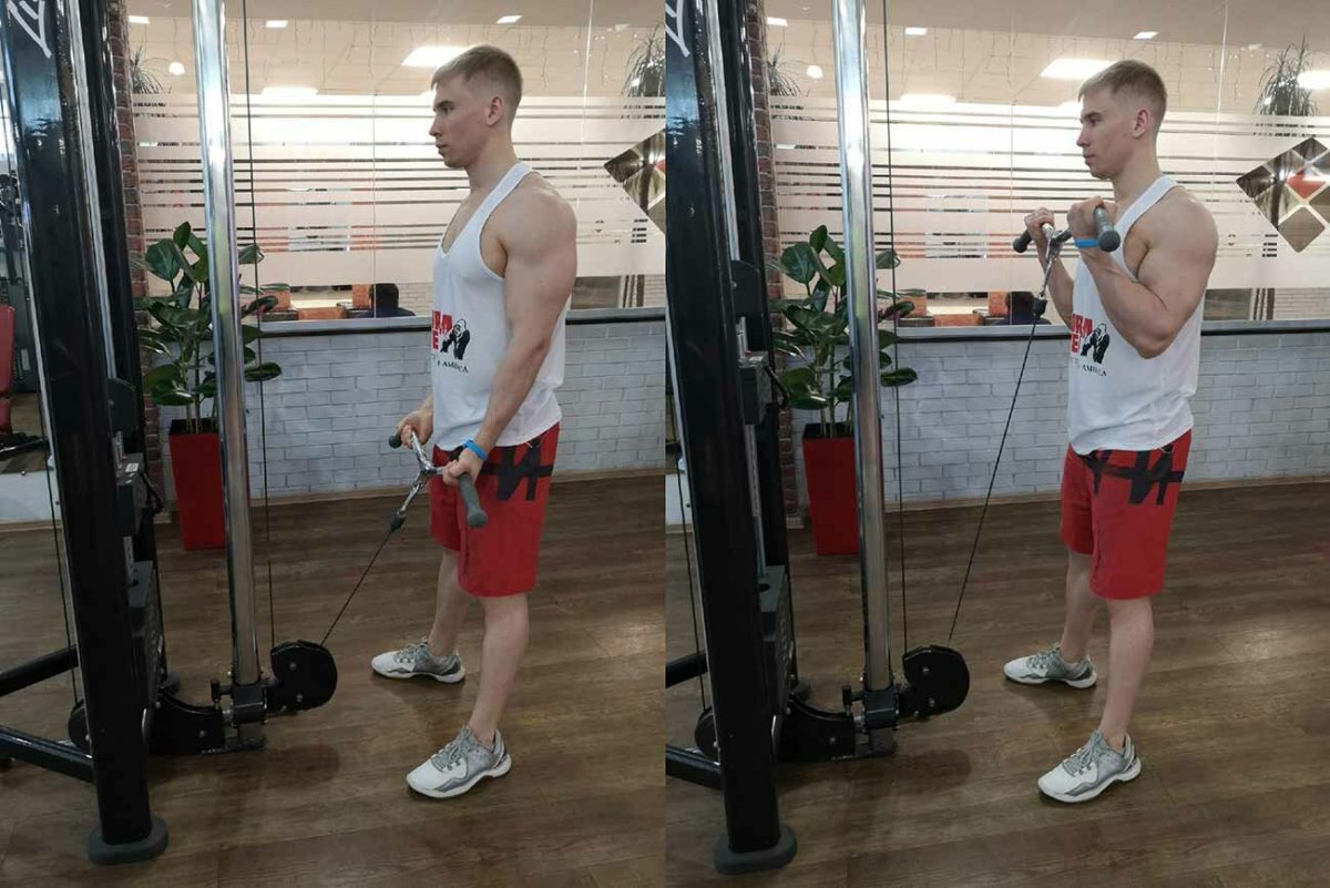 Cable Hammer Bicep Curl