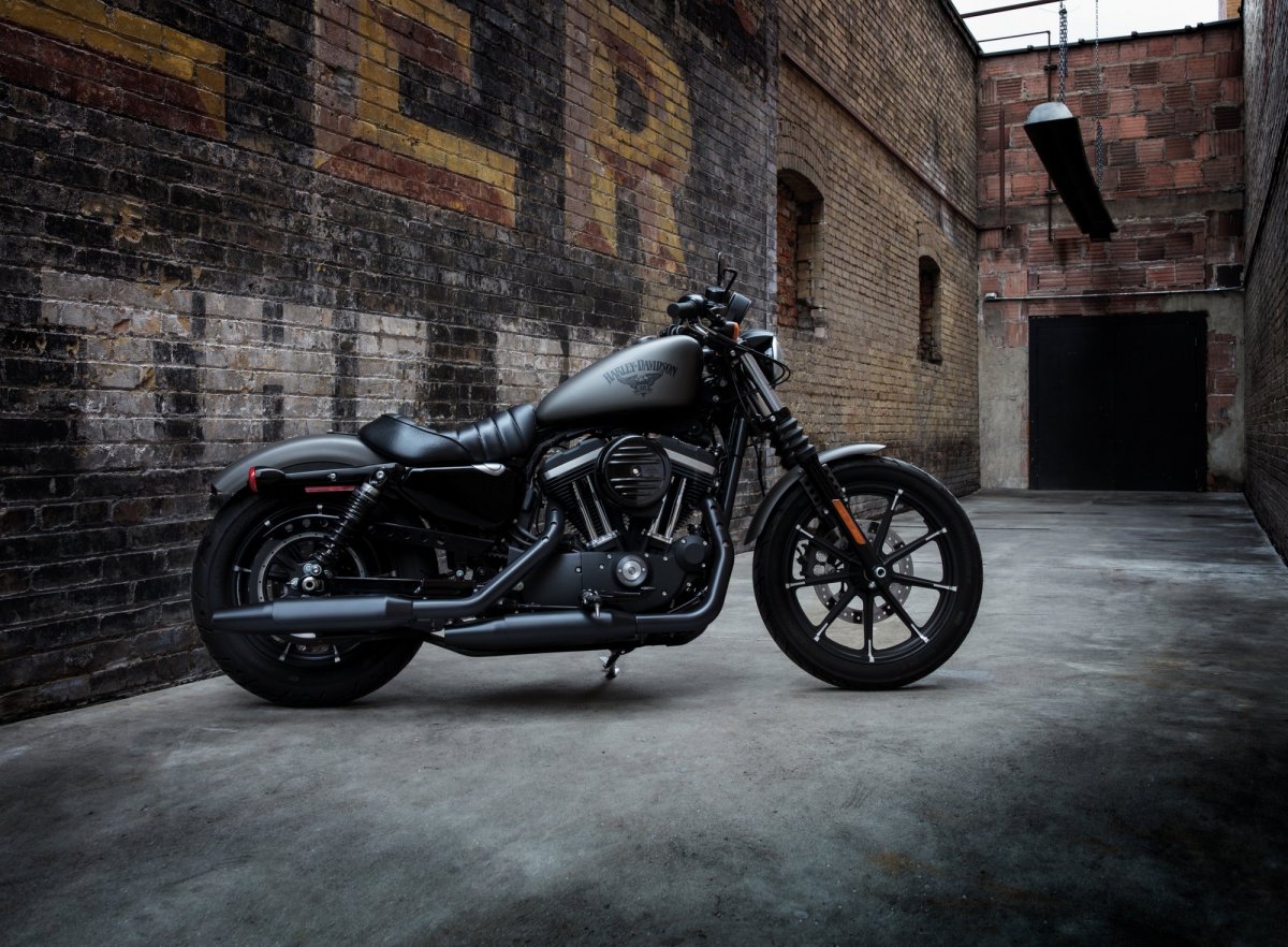 Харлей Дэвидсон Sportster 883 Iron