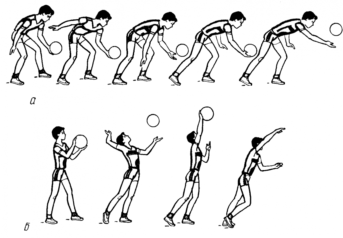 Передача мяча(сверху двумя руками ,снизу двумя руками в волейболе