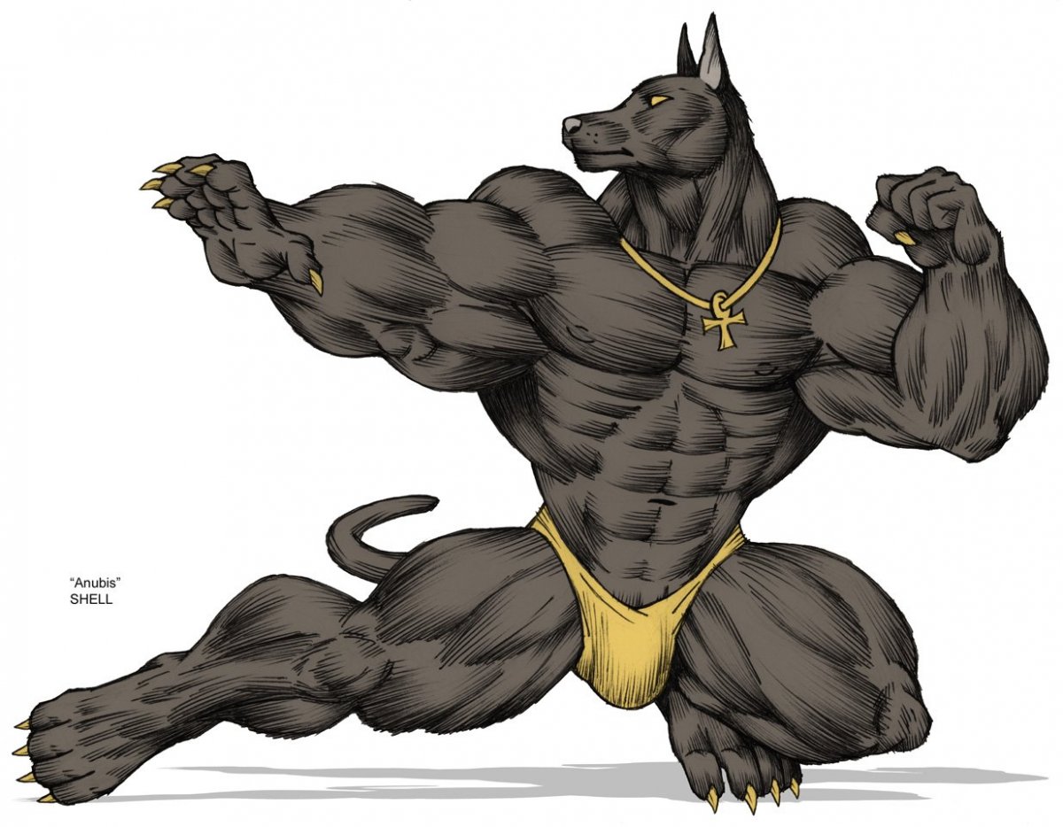 Владелец Monster Pride Zeus американский булли XL