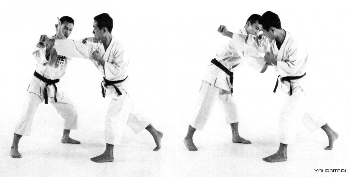 Karate moves