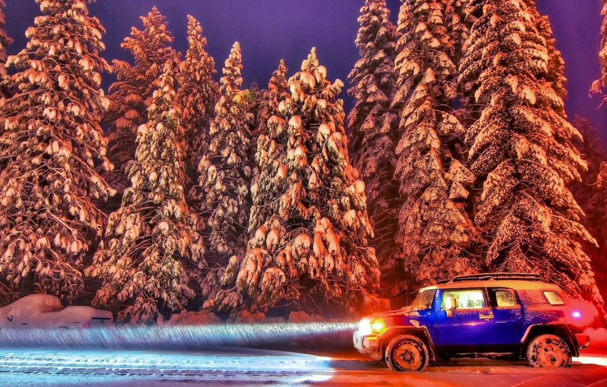 Машина в зимнем лесу