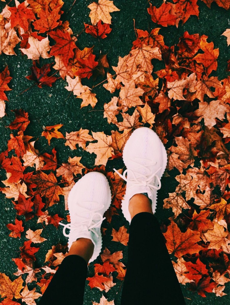 Осень ноги в листьях