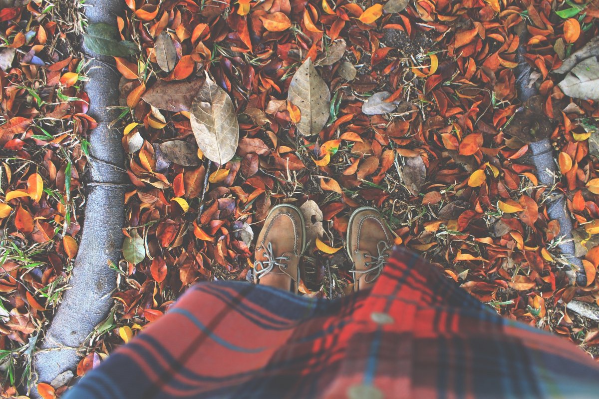 Осень листья под ногами