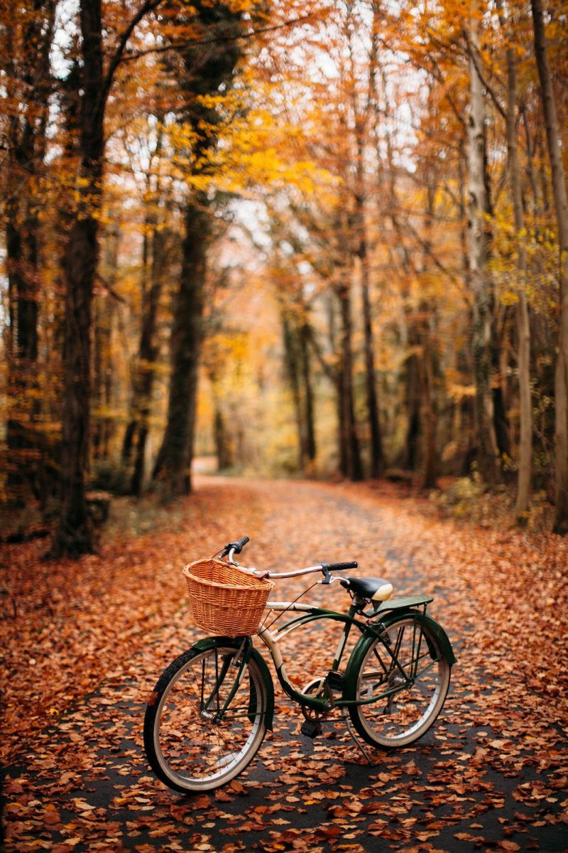 Осень велосипед