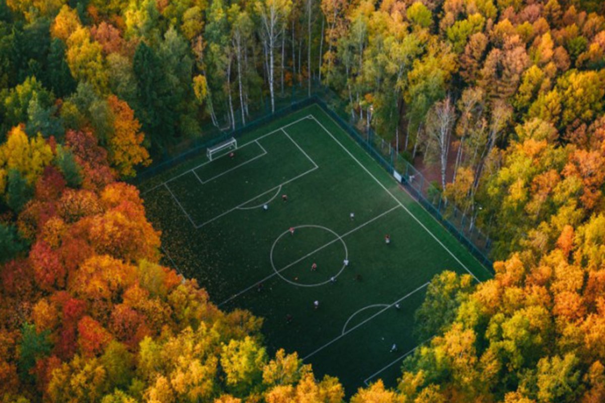 Футбольное поле в лесу