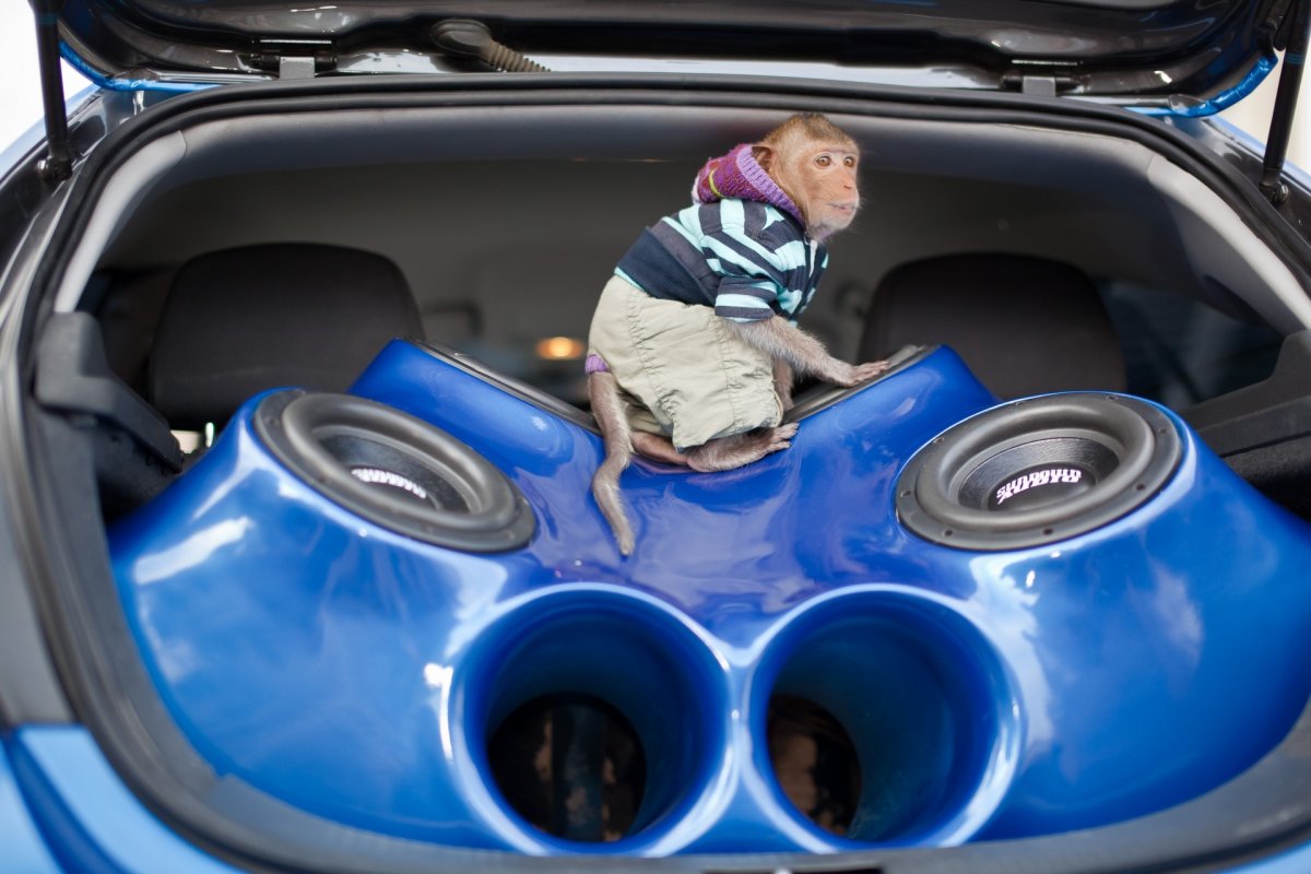 Автозвук car Audio