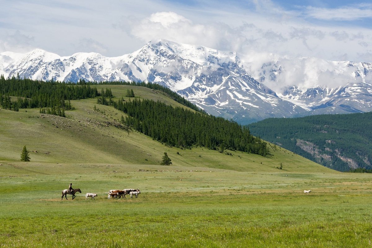 Село курай Республика Алтай