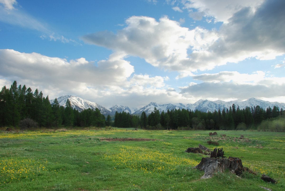 Курайская степь Алтай панорама