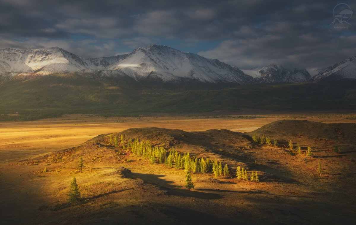 Поселок курай Республика Алтай