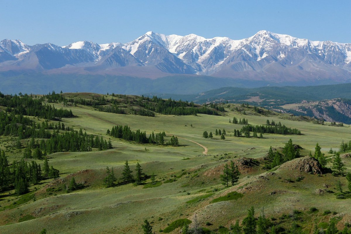Курайский хребет горный Алтай