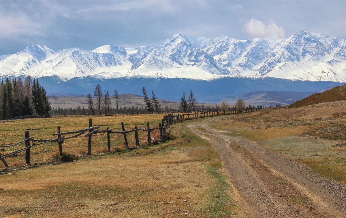 Село курай Республика Алтай