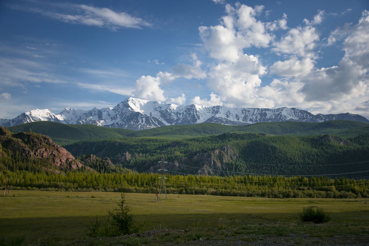 Село курай Республика Алтай