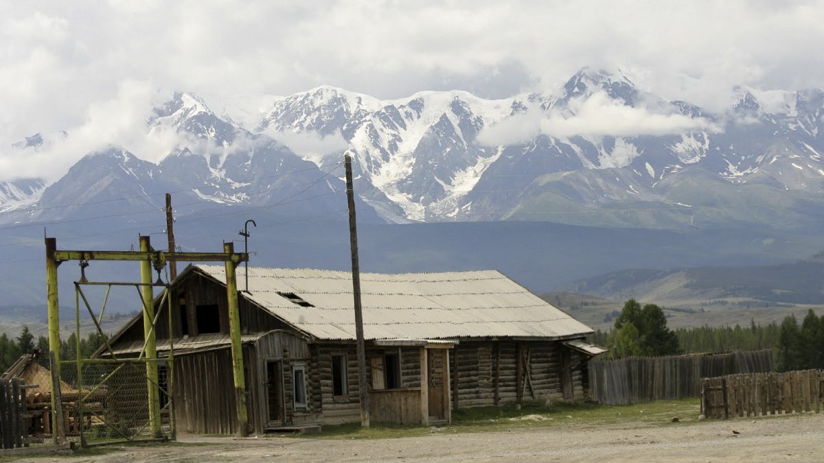 Долина курай