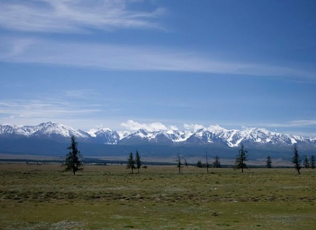 Курайская степь горный Алтай