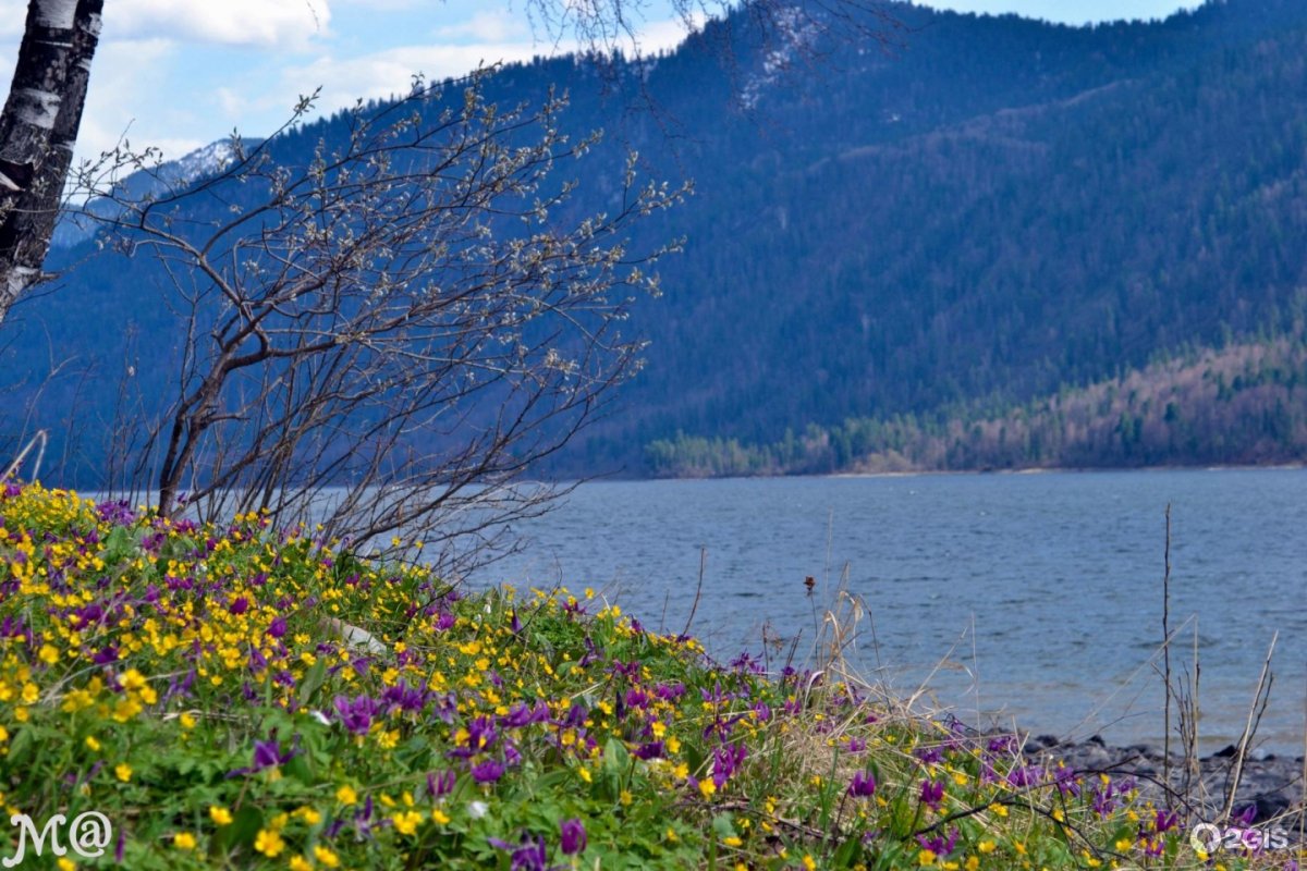 Весенний пейзаж Телецкое озеро