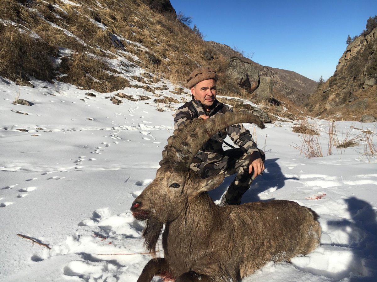 Охота в Таджикистане в горах