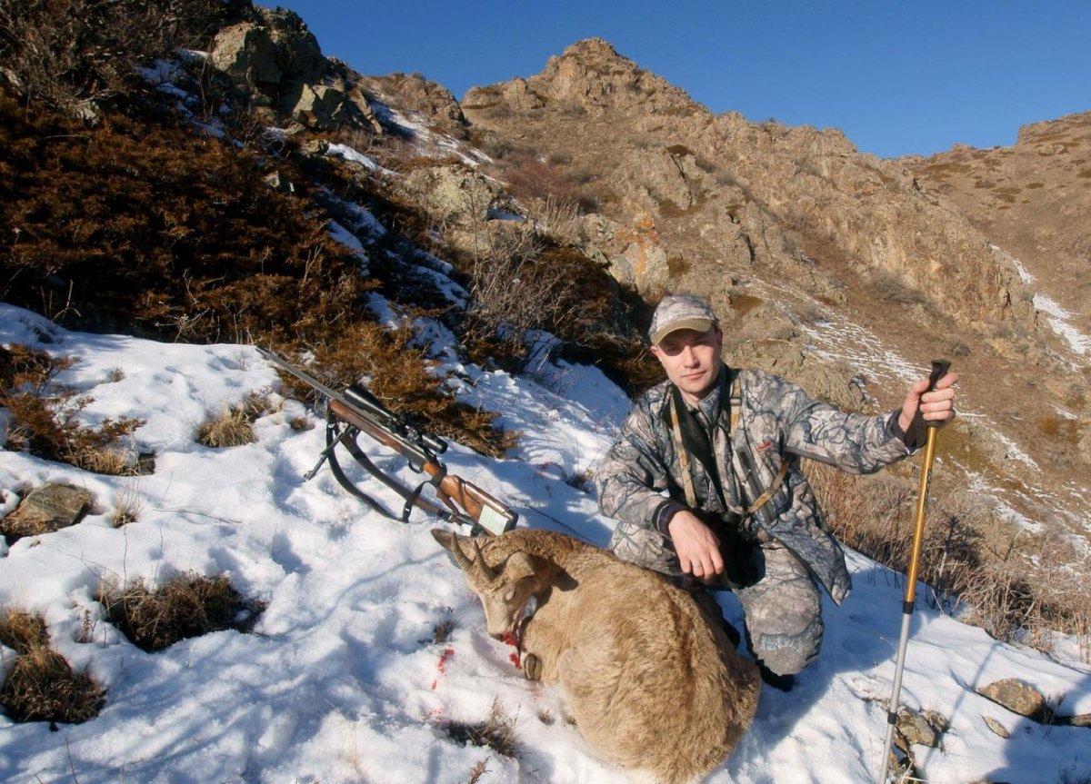 Охота на кабана Республика Алтай