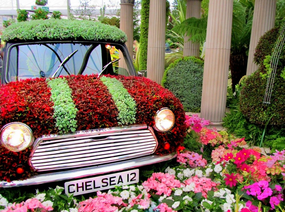 The Chelsea Flower show в Англии