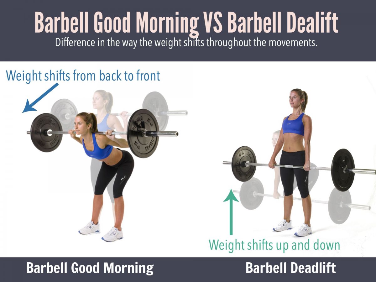 The percentage ratio of a Weight of a Barbell to a better Results