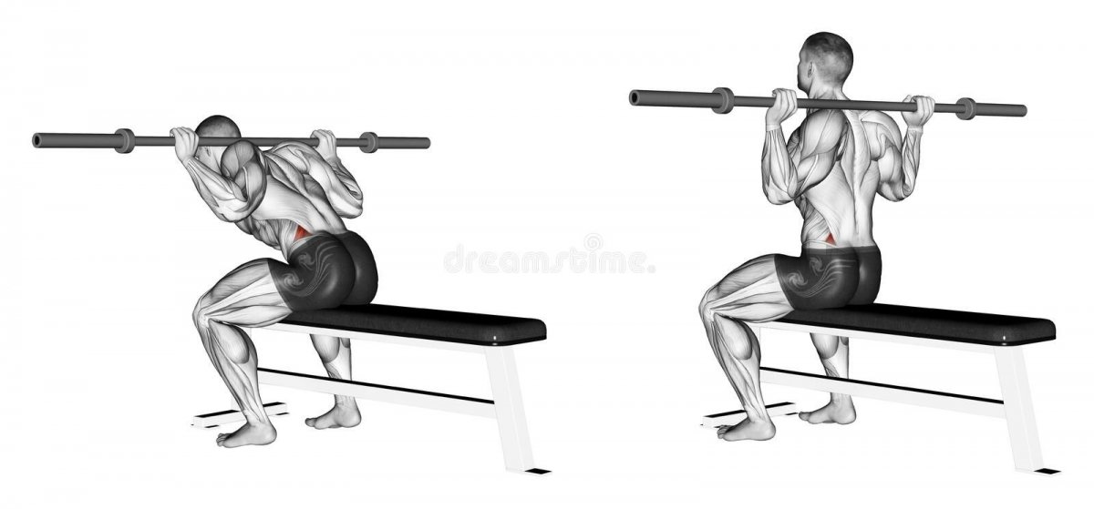 Наклоны со штангой сидя