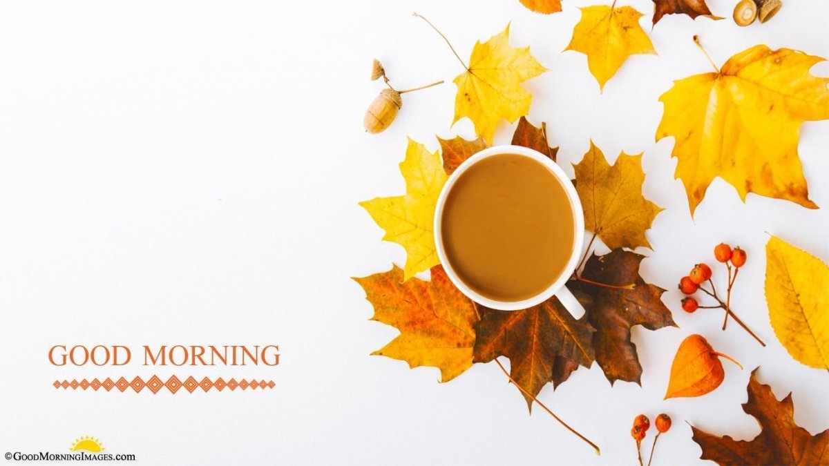 Tarjetas good morning