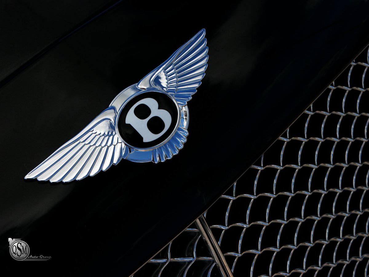 Hyundai Equus Emblem