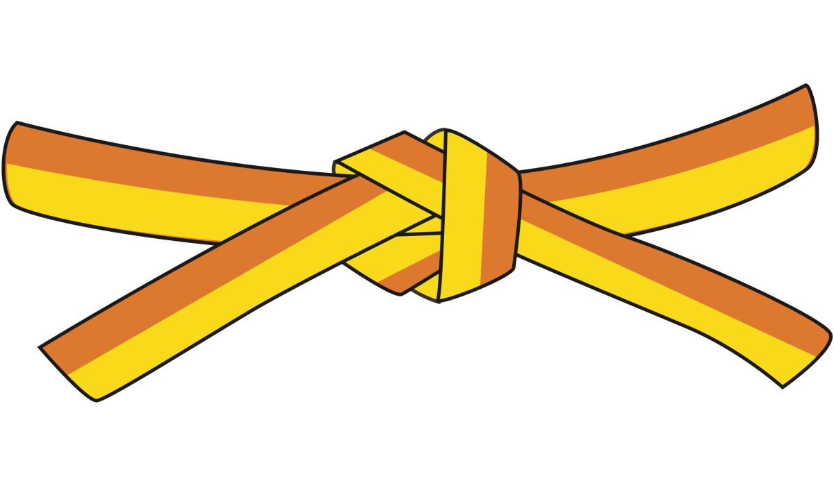 Кимоно для дзюдо SFAM Noris