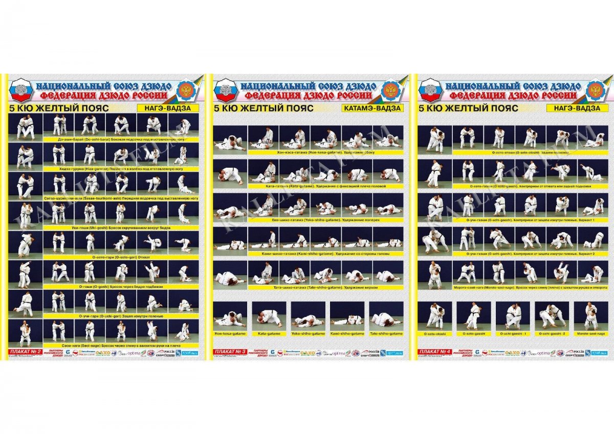 Красный пояс дзюдо