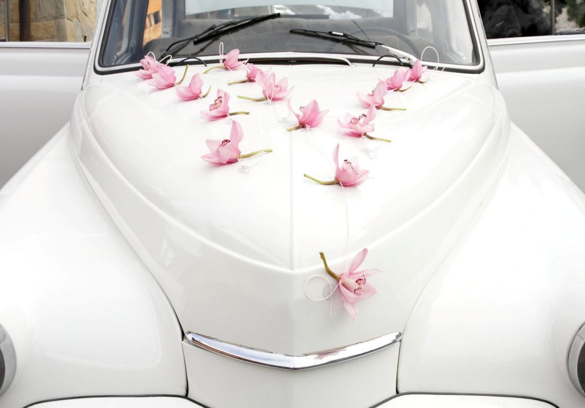 Decorating Bridal cars