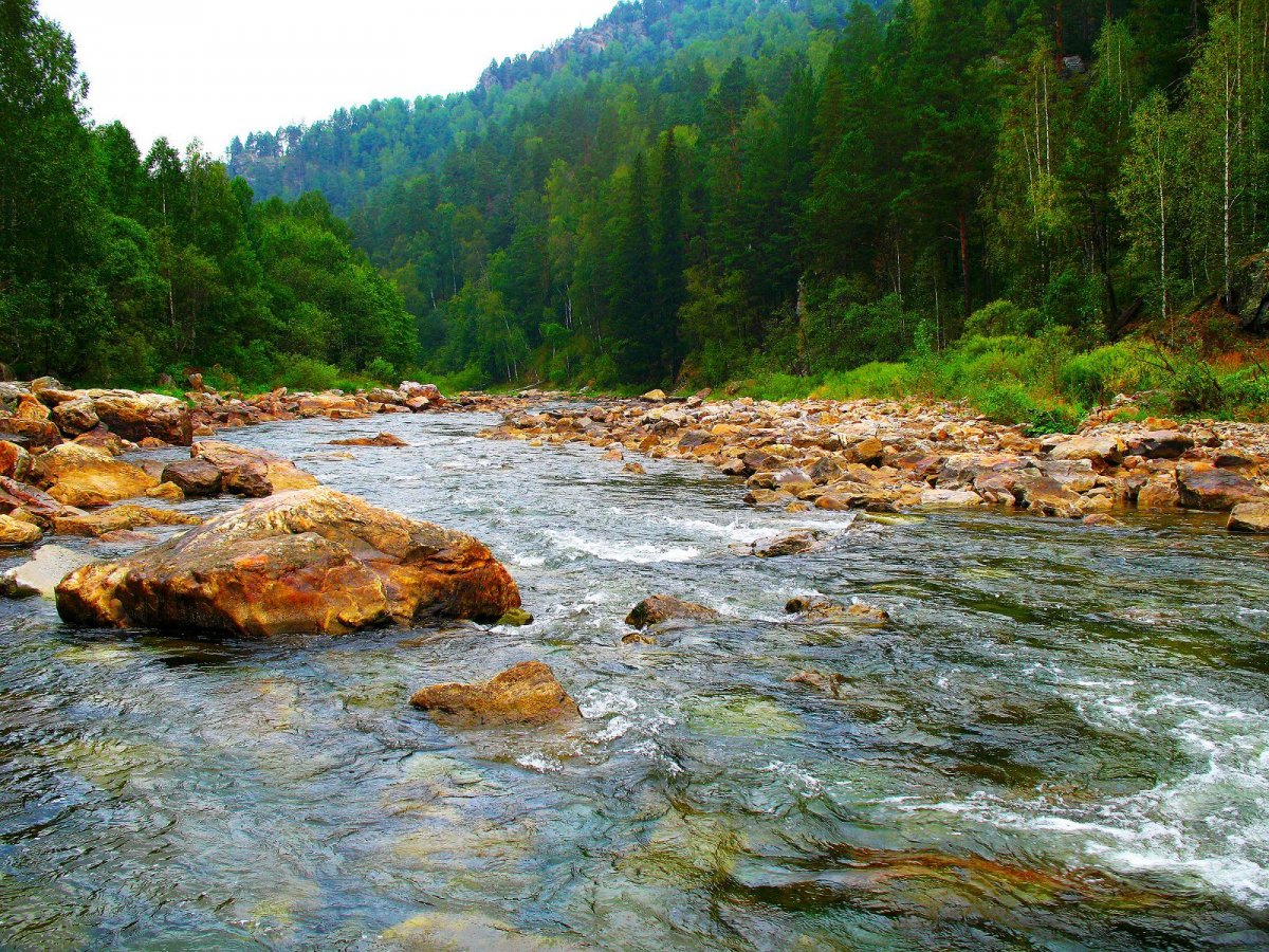 Река Инзер Башкортостан