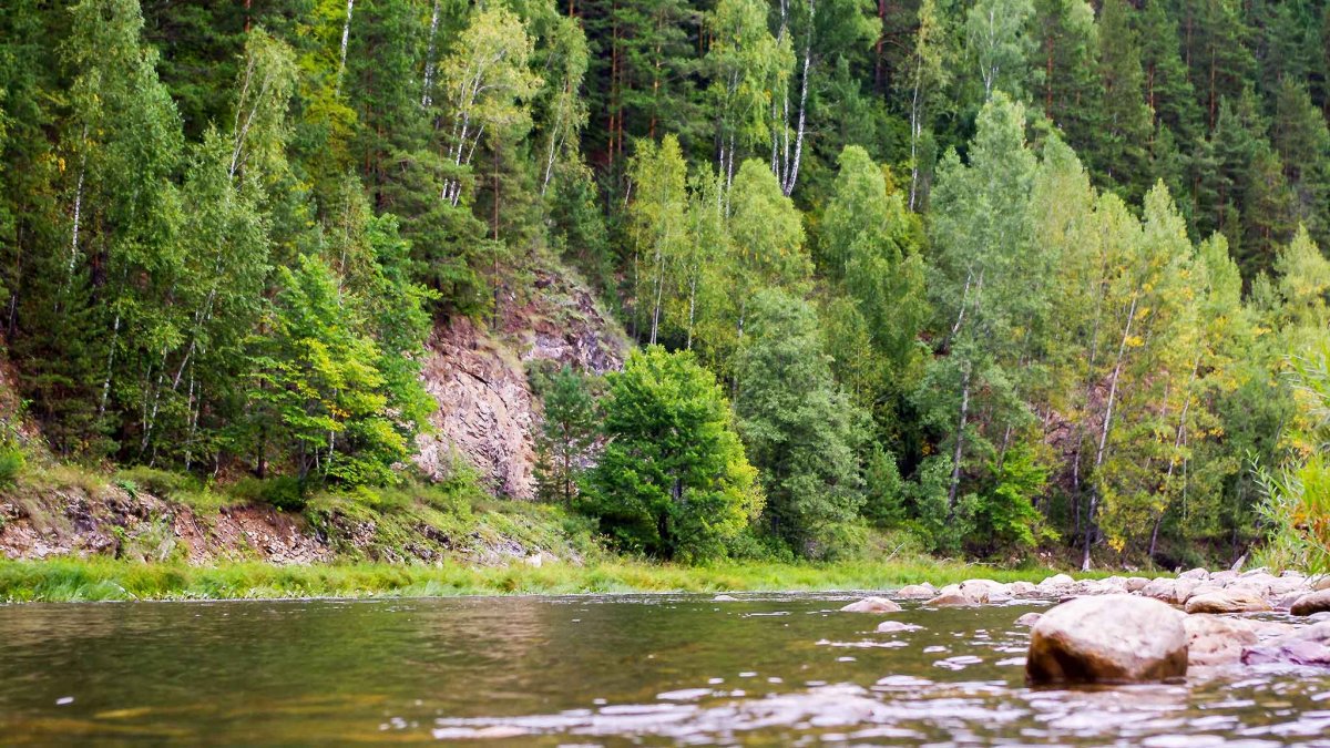 Природа Башкортостана речка лес