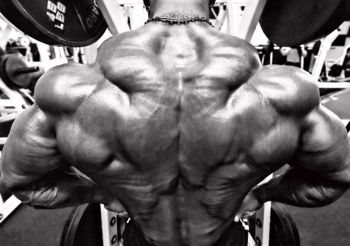 Бодибилдинг мужчины