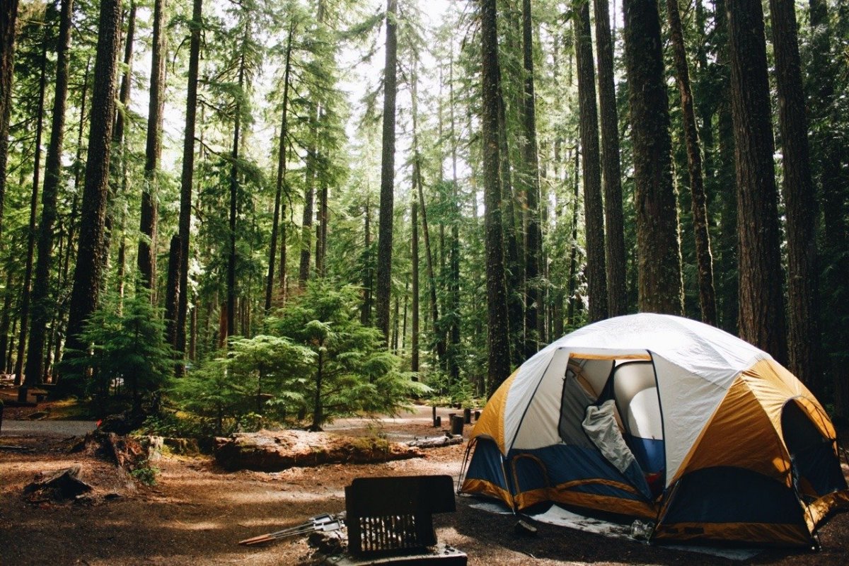 Палатка туристическая в лесу