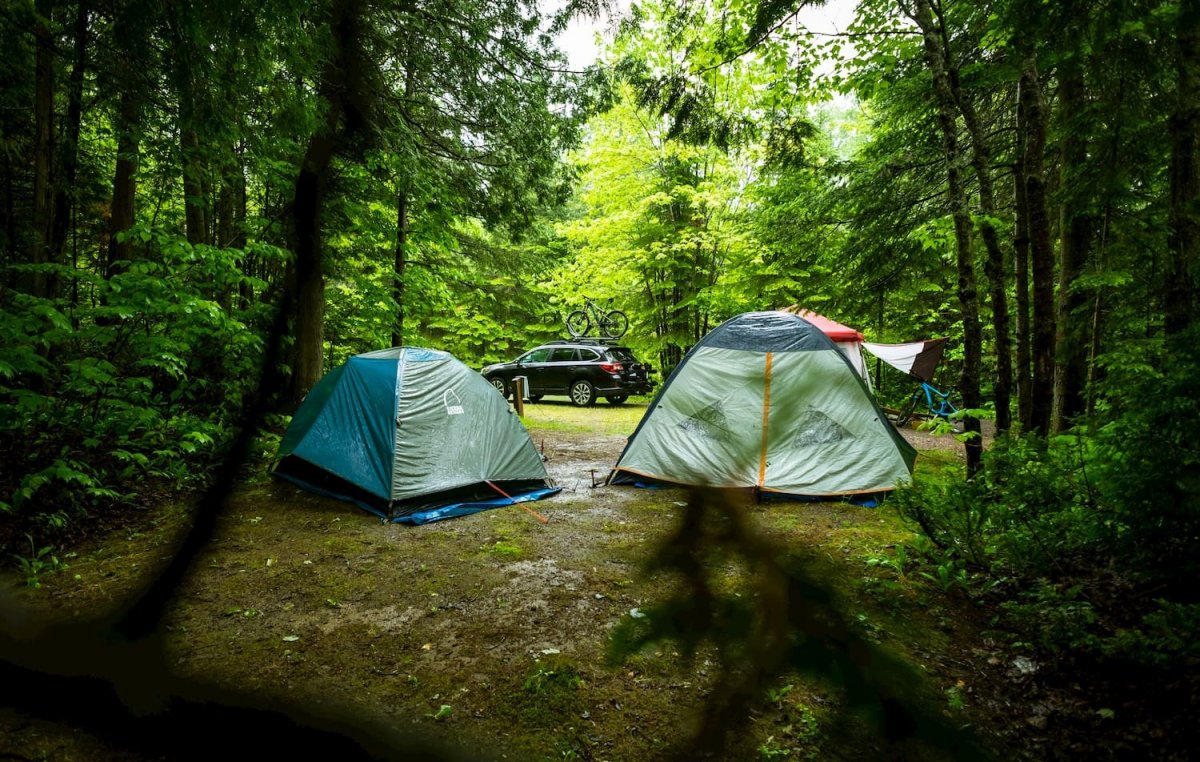 Палатки для похода в лес