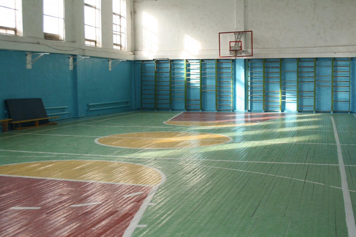 Школа 619 Санкт-Петербург физкультурный зал