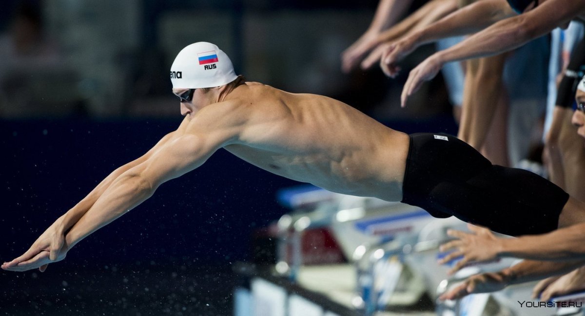 Спортсмены пловцы