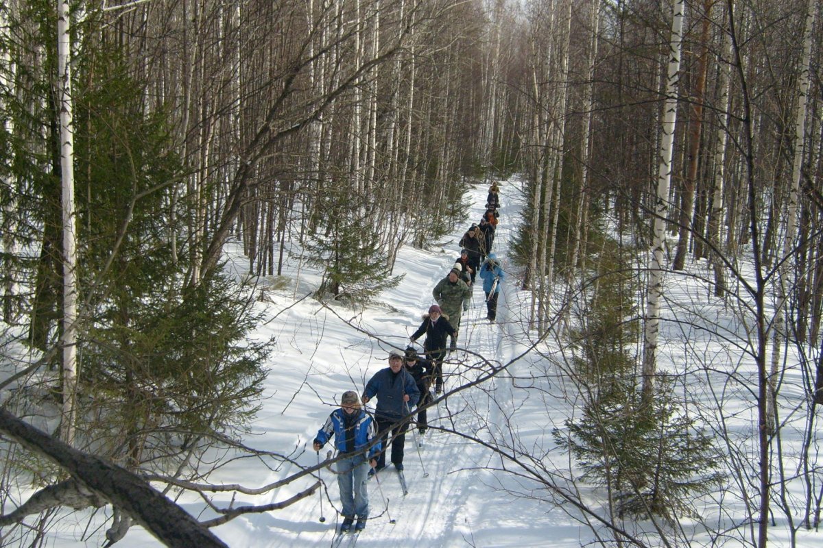 Экспедиция в зимнем лесу