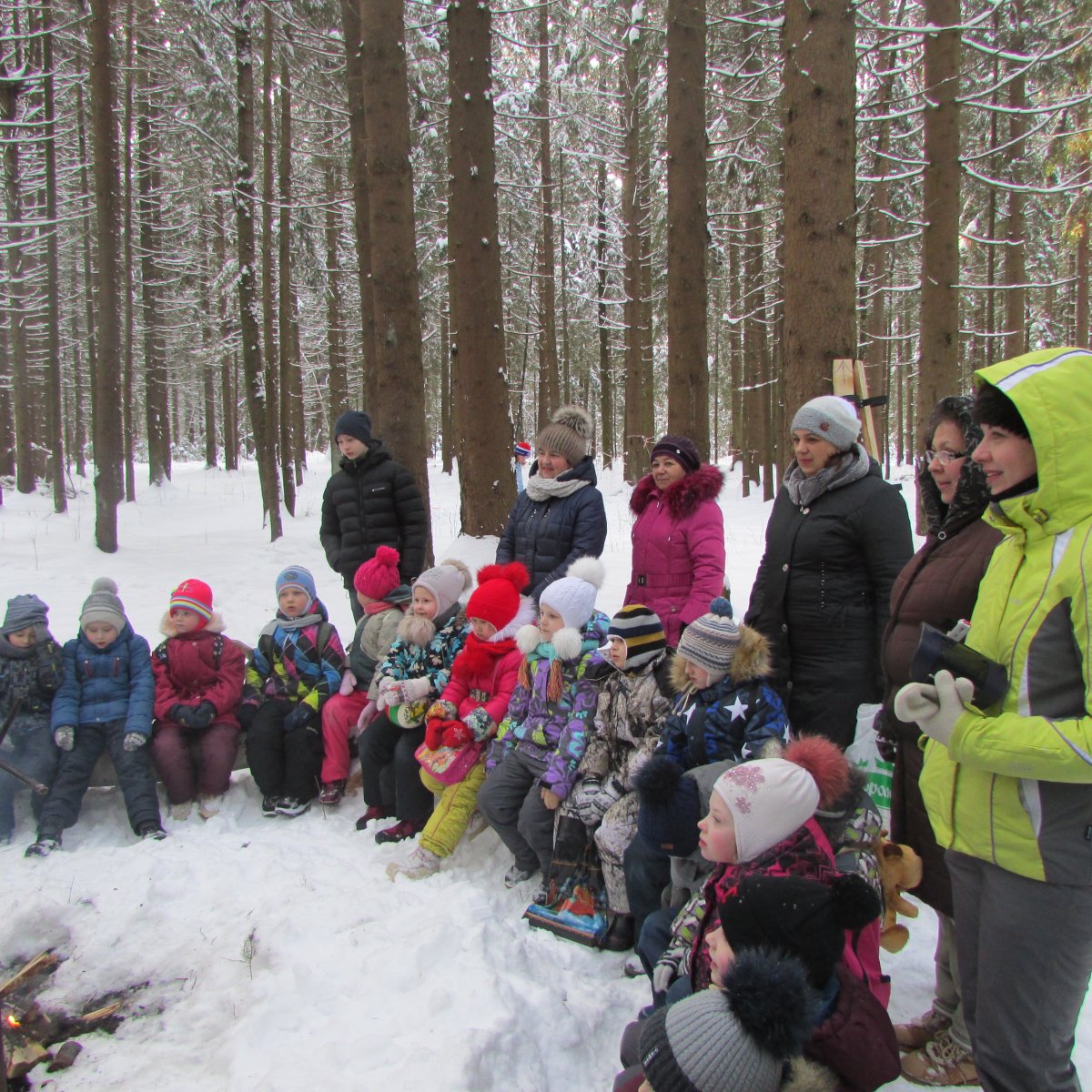 Зимний поход в лес с детьми