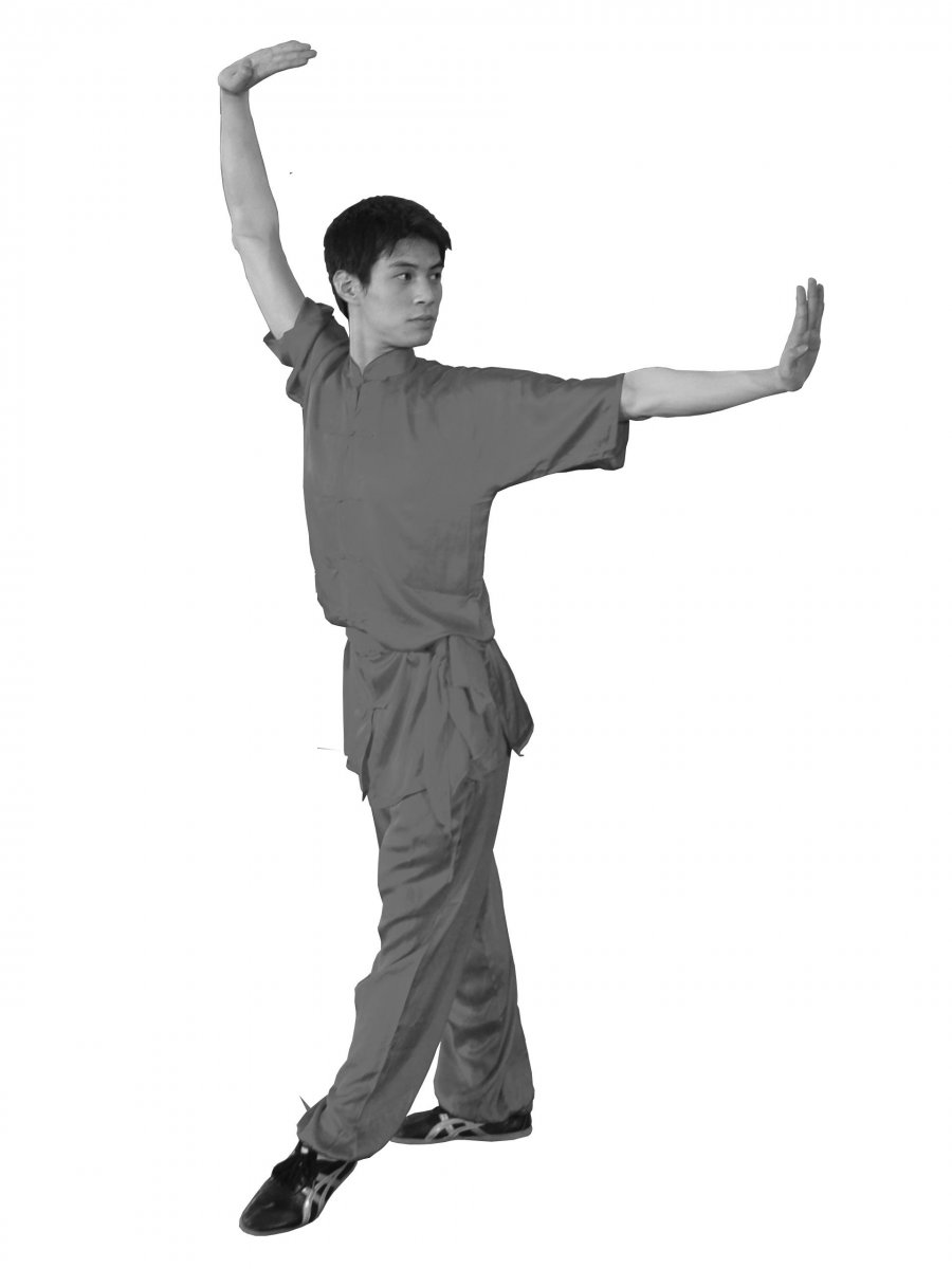 Гимнастика цигун упражнения ушу