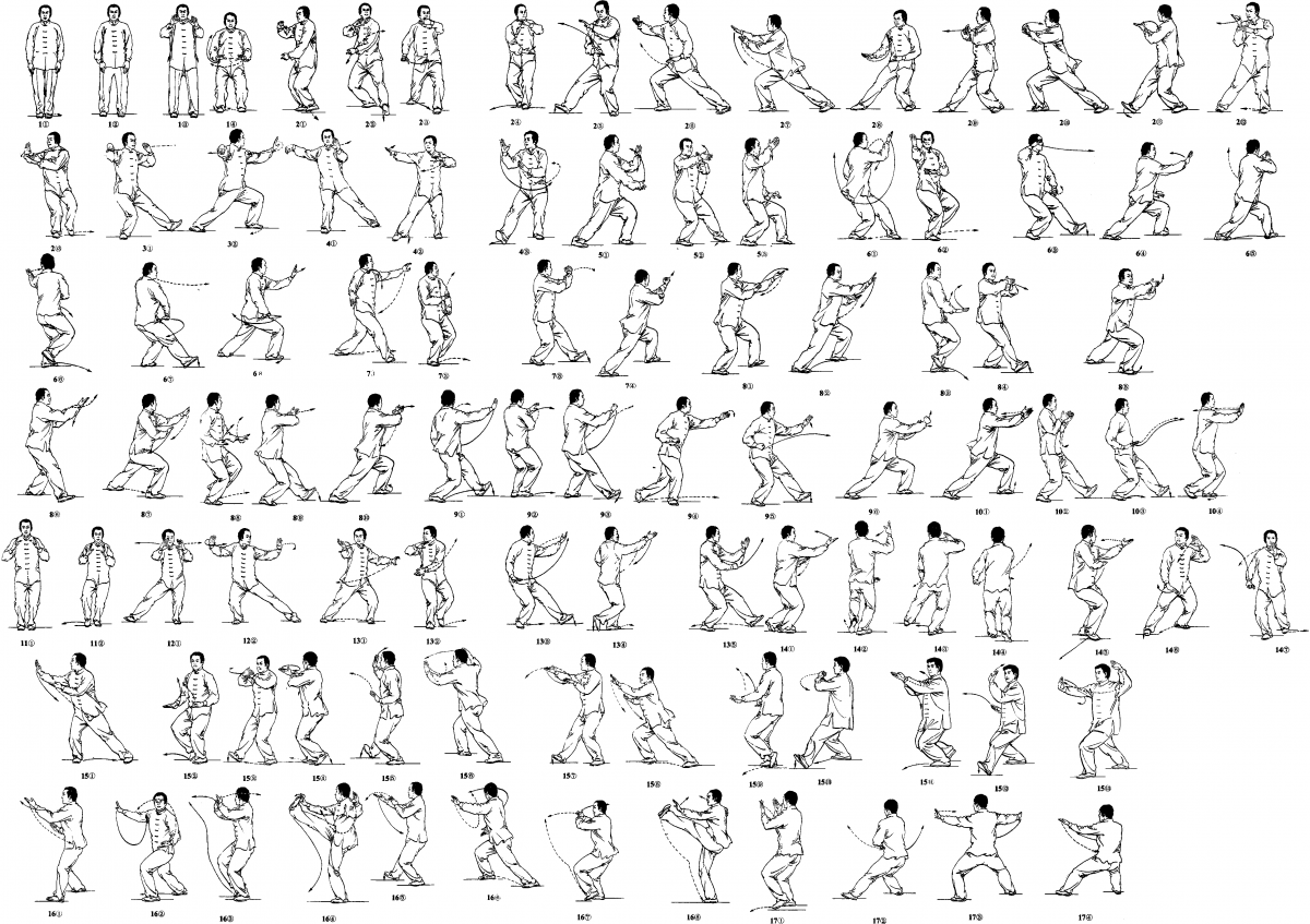 24 Формы тайцзицюань стиля Ян