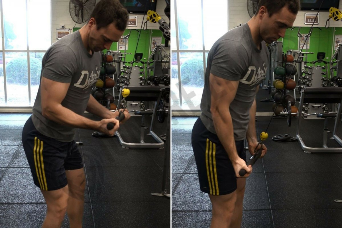 Cable Triceps Pushdown